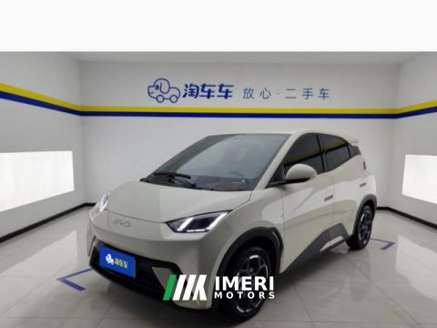 2023 BYD Seagull 305km Free Version