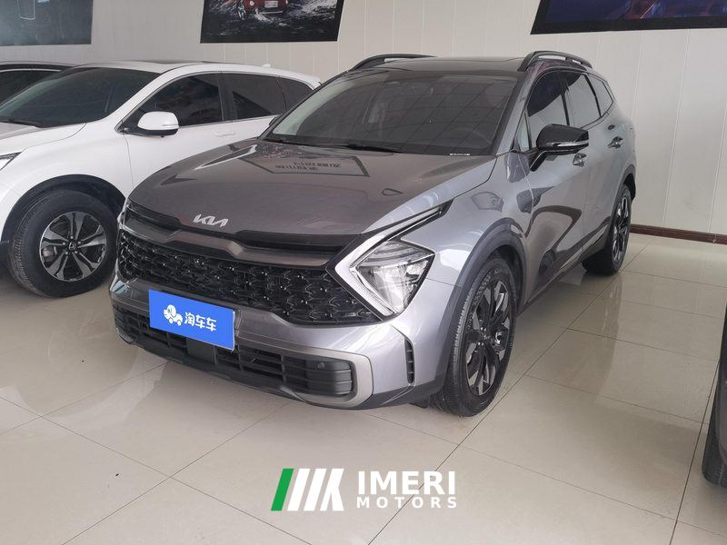 Kia Lion Platinum Tuojie 2.0T 2WDPremium Edition
