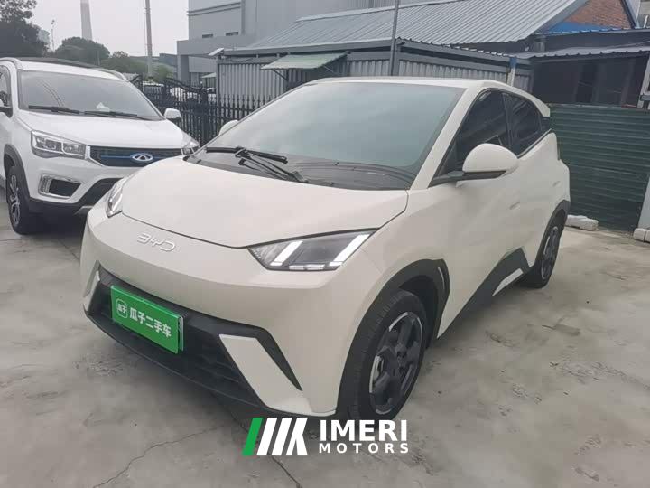 BYD Seagull Glory Edition 305km Freedom Version