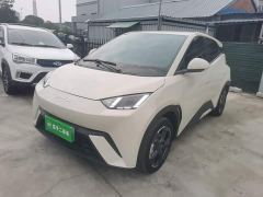 BYD Seagull Glory Edition 305km Freedom Version - ფოტო 1