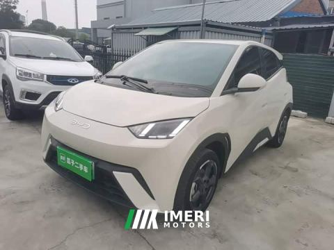 2024 BYD Seagull Glory Edition 305km Freedom Version - ავტომობილი ჩინეთიდან