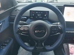 BYD Seagull Glory Edition 305km Freedom Version - ფოტო 10