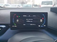 BYD Seagull Glory Edition 305km Freedom Version - ფოტო 11