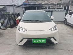 BYD Seagull Glory Edition 305km Freedom Version - ფოტო 2