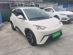 BYD Seagull Glory Edition 305km Freedom Version - ფოტო 3