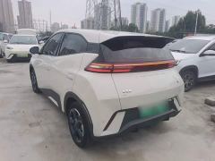 BYD Seagull Glory Edition 305km Freedom Version - ფოტო 4