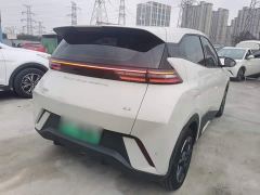 BYD Seagull Glory Edition 305km Freedom Version - ფოტო 6
