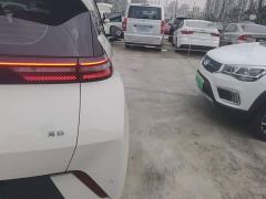 BYD Seagull Glory Edition 305km Freedom Version - ფოტო 7