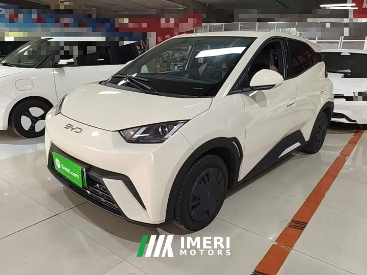 BYD Seagull 305km Vitality Edition - ავტომობილი ჩინეთიდან