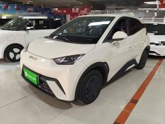 BYD Seagull 305km Vitality Edition - ფოტო 1
