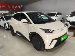 BYD Seagull 305km Vitality Edition - ფოტო 3