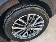 Geely Xingrui 2.0T Diesel Luxury - ფოტო 11