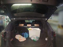 BYD Tang DM-i 1.5T 112KM Precursor Premium - ფოტო 20