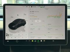 Tesla Model Y Rear-Wheel Drive - photo 14