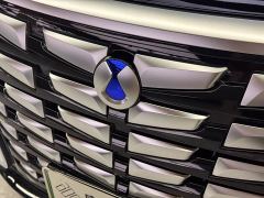 Denza D9 DM-i 970 AWD Flagship - фото 6