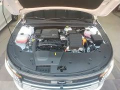 BYD Destroyer 05 Glory Edition DM-i 55KM Luxury - ფოტო 19