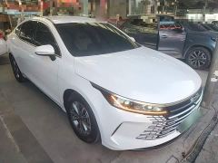 BYD Destroyer 05 Glory Edition DM-i 55KM Luxury - ფოტო 3