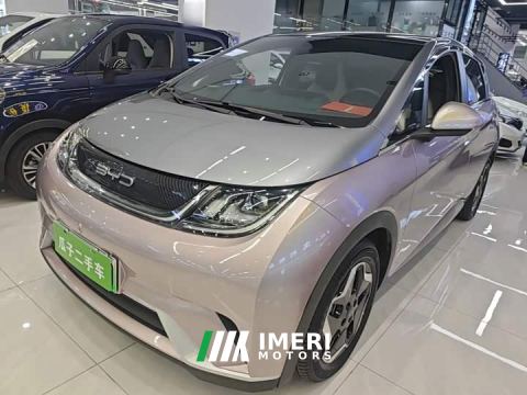 2022 BYD Dolphin 405km Fashion Edition - ავტომობილი ჩინეთიდან