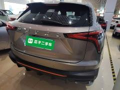 Haval Divine Beast 1.5T Smart Enjoy Edition - ფოტო 6