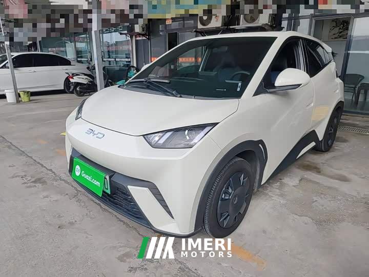 BYD Seagull Glory Edition 305km Vitality Version