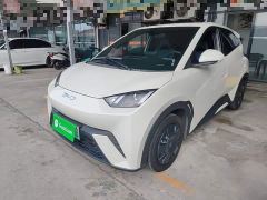 BYD Seagull Glory Edition 305km Vitality Version - ფოტო 1