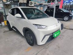 BYD Seagull Glory Edition 305km Vitality Version - ფოტო 3