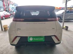 BYD Seagull Glory Edition 305km Vitality Version - ფოტო 5