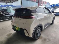 BYD Seagull Glory Edition 305km Vitality Version - ფოტო 6