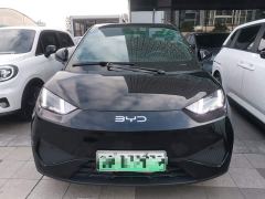 BYD Seagull Smart Drive 405km Flight Edition - ფოტო 2