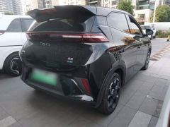 BYD Seagull Smart Drive 405km Flight Edition - ფოტო 6