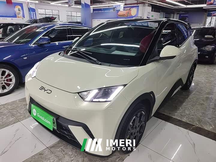 BYD Seagull Glory Edition 405km Flying Edition