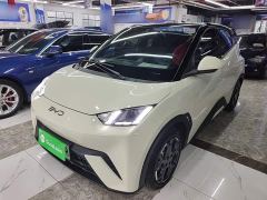 BYD Seagull Glory Edition 405km Flying Edition - photo 1