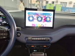 BYD Seagull Glory Edition 405km Flying Edition - photo 12