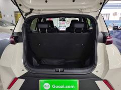 BYD Seagull Glory Edition 405km Flying Edition - photo 18