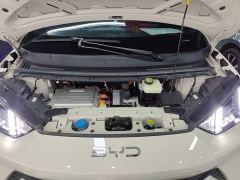 BYD Seagull Glory Edition 405km Flying Edition - photo 19