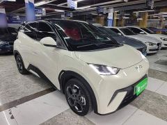 BYD Seagull Glory Edition 405km Flying Edition - photo 3
