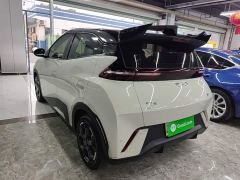 BYD Seagull Glory Edition 405km Flying Edition - photo 4