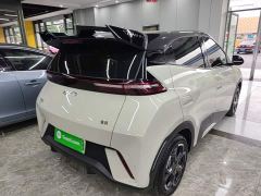 BYD Seagull Glory Edition 405km Flying Edition - photo 6