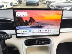 Geely Star Wish 310km Dream Edition - ფოტო 12