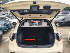 Geely Star Wish 310km Dream Edition - ფოტო 18
