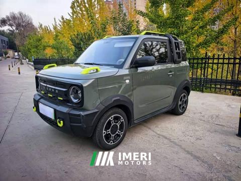 2025 Geely Panda 210km Panda Knight - car from China