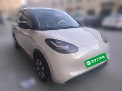 Wuling Binguo 333km Joy Edition - photo 3