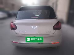 Wuling Binguo 333km Joy Edition - photo 5