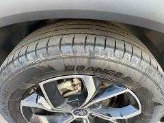BYD Yuan Plus Glory Edition 430KM Leading - ფოტო 16