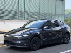 Tesla Model Y Rear-Wheel Drive - ფოტო 1