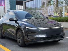 Tesla Model Y Rear-Wheel Drive - ფოტო 3