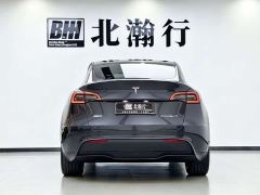 Tesla Model Y Rear-Wheel Drive - ფოტო 6
