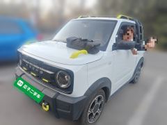 Geely Galaxy Panda 210km Panda Knight - ფოტო 1