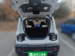 Geely Galaxy Panda 210km Panda Knight - ფოტო 20