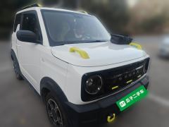 Geely Galaxy Panda 210km Panda Knight - ფოტო 3